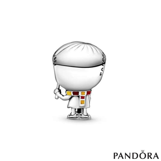 Charm Plata 925 -  Harry Potter