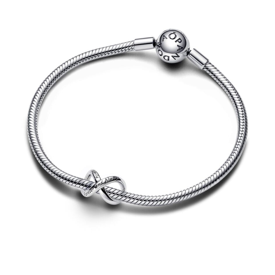 Charm Plata 925 - Infinito Familia