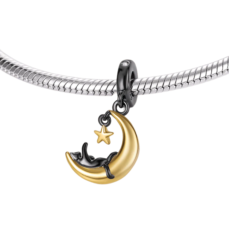 Charm Plata 925 - colgante gato en luna