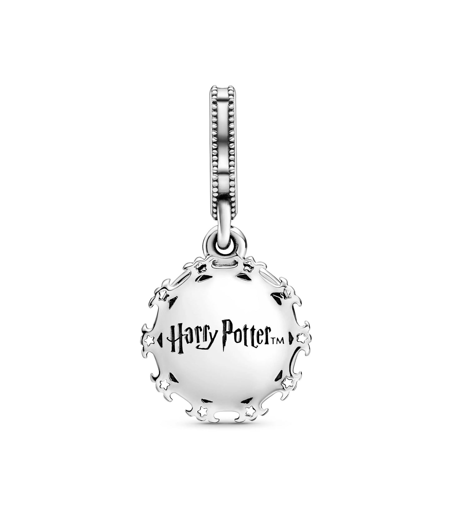 Charm Plata 925 - colgante Casa Hufflepuff en Hogwarts de Harry Potter